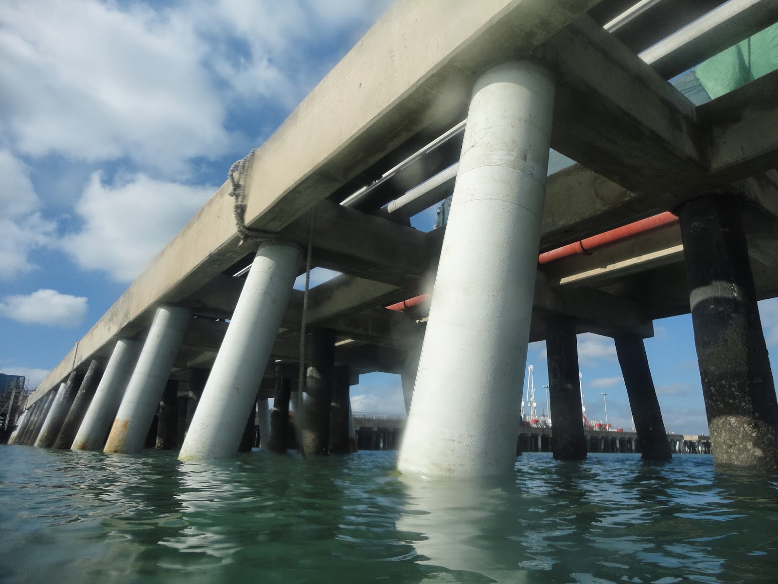 pilotes marinos (2018_10_08 13_33_54 UTC).JPG